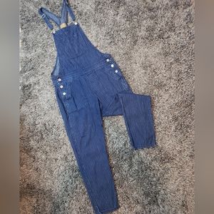 American Eagle Pin Stripe Overalls Size M